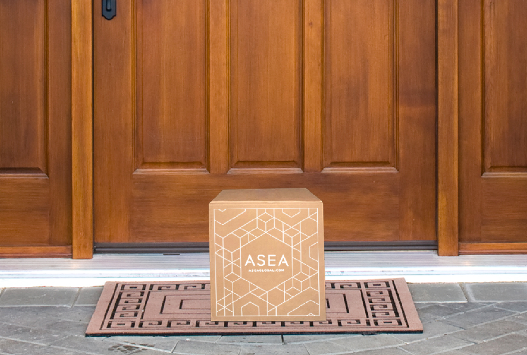 New name, new benefits: ASEA Subscription is now ASEA subscription box -  ASEA Impact Europe